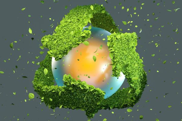 Thailand’s Sustainability Drive: Embracing Green Business Practices
