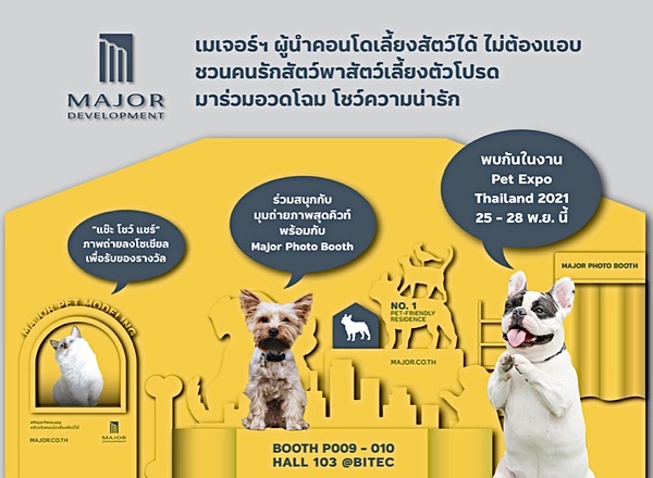 เมเจอร์ ดีเวลลอปเม้นท์