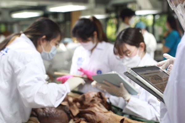 ม.มหิดล เตรียมส่ง “MALI” สื่อกายวิภาคขึ้นสู่บทเรียนออนไลน์