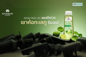 เขาค้อทะเลภู