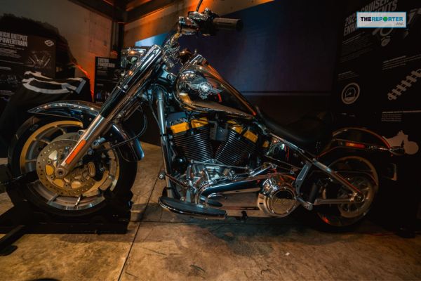 Cruiser 2025
