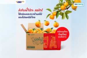 ไปรษณีย์ไทย