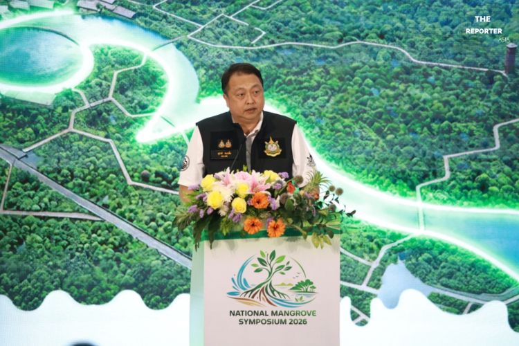 SCGC ผนึก ทส. ฟื้นฟูป่าชายเลนทั่วไทย มุ่งสร้างสมดุลสู่ Nature Positive