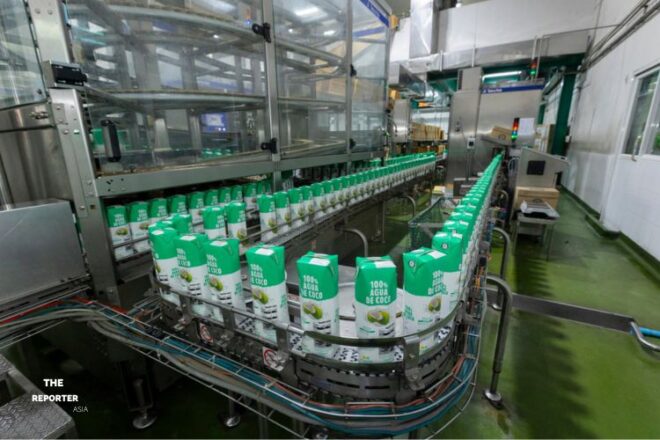 กะทิชาวเกาะ