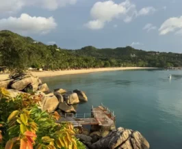 เกาะพะงัน เปิดโครงการ “พะงัน-พำนัก” ดึงคนเมืองชาร์จพลังชีวิต