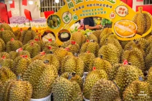 ยูนนานนำเข้าทุเรียนสดครึ่งปีแรก 2026 ทะลุ 3.19 แสนตัน โต 58.2%