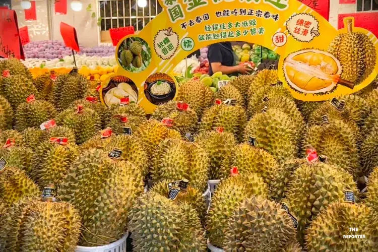 ยูนนานนำเข้าทุเรียนสดครึ่งปีแรก 2026 ทะลุ 3.19 แสนตัน โต 58.2%