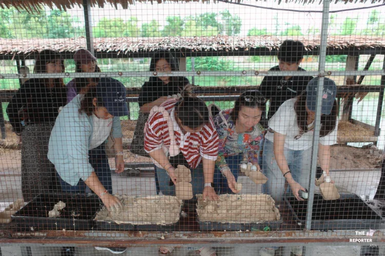 หลักทรัพย์บัวหลวง ผุดโครงการ “จากมือเราสู่มื้ออิ่มของน้อง”