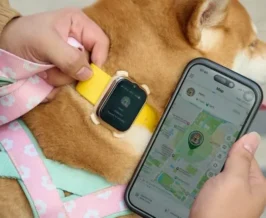 AIS เปิดตัว SMART Pets Phone สมาร์ตโฟนสัตว์เลี้ยง 1,990 บาท