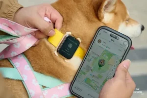 AIS เปิดตัว SMART Pets Phone สมาร์ตโฟนสัตว์เลี้ยง 1,990 บาท