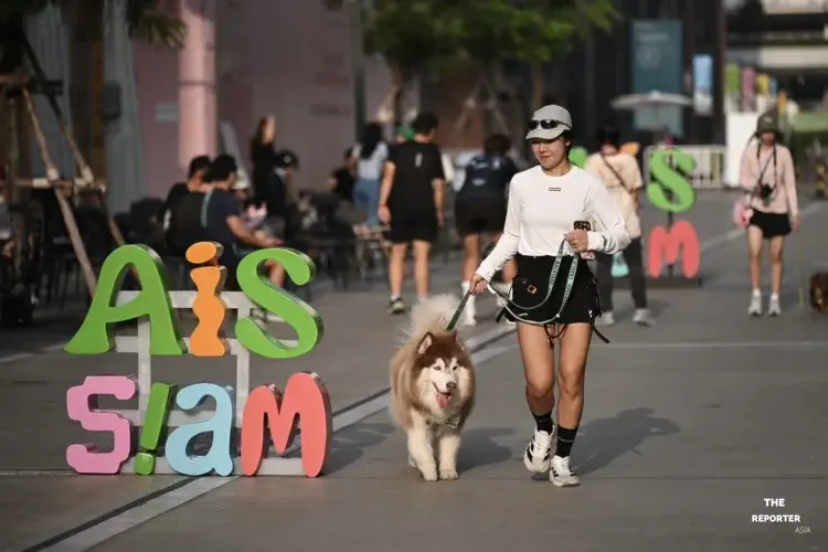 AIS เปิดตัว SMART Pets Phone สมาร์ตโฟนสัตว์เลี้ยง 1,990 บาท