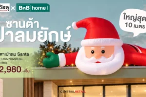 ไทวัสดุ-บีเอ็นบี โฮม เปิดพรีออร์เดอร์ต้นสนสดแคนาดา ดึงซานต้ายักษ์ 10 ม. ปักหมุด Festive Destination